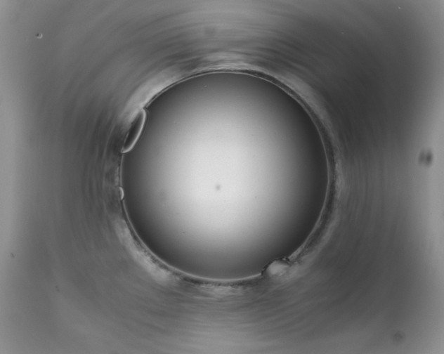 X0000111781289200907301112