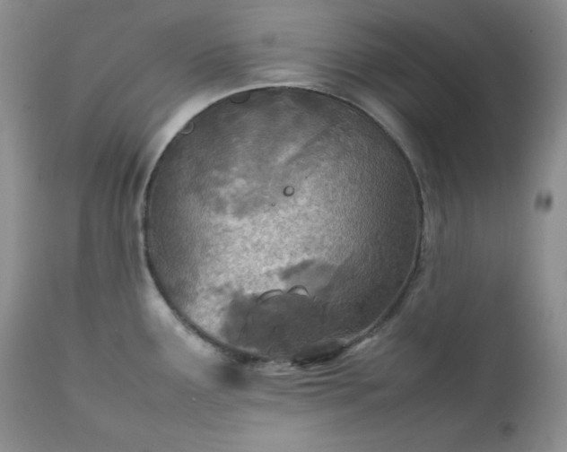 X0000111781291200907301112