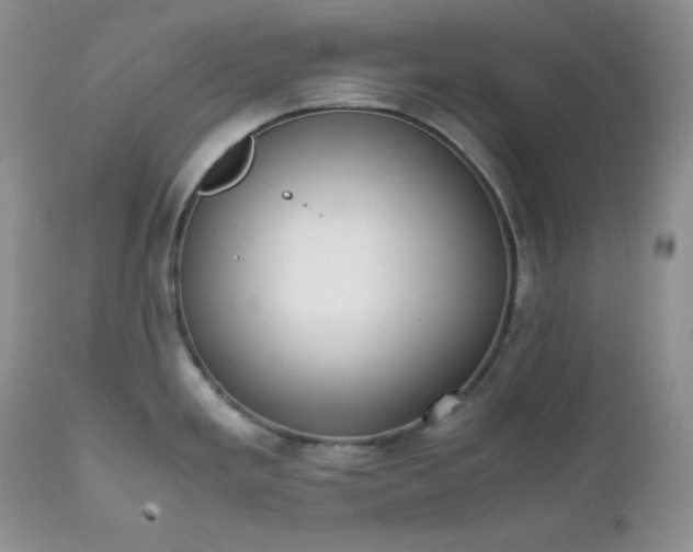 X0000111781293200907301112