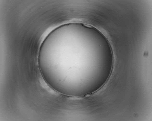 X0000111781296200907301112