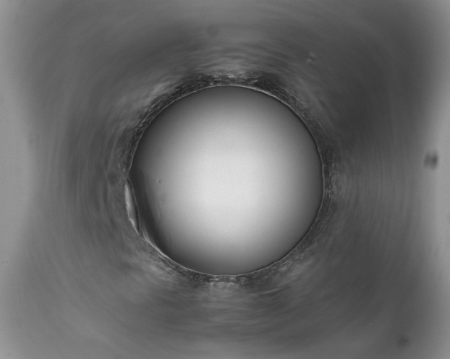 X0000111781297200907301111