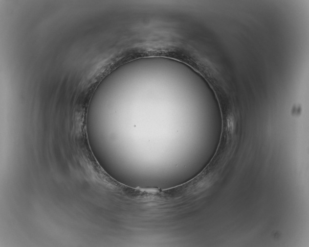 X0000111781300200907301111