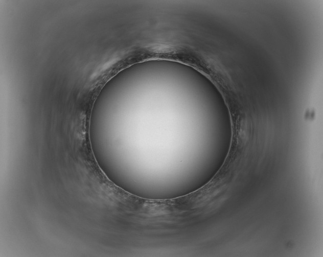 X0000111781301200907301111