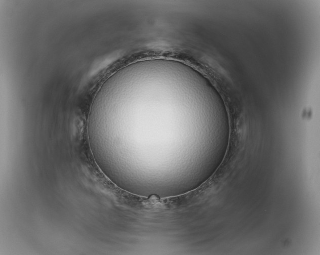 X0000111781302200907301111