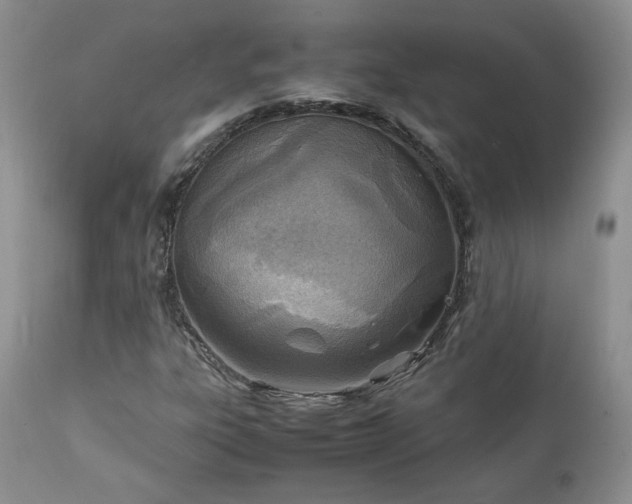 X0000111781303200907301111