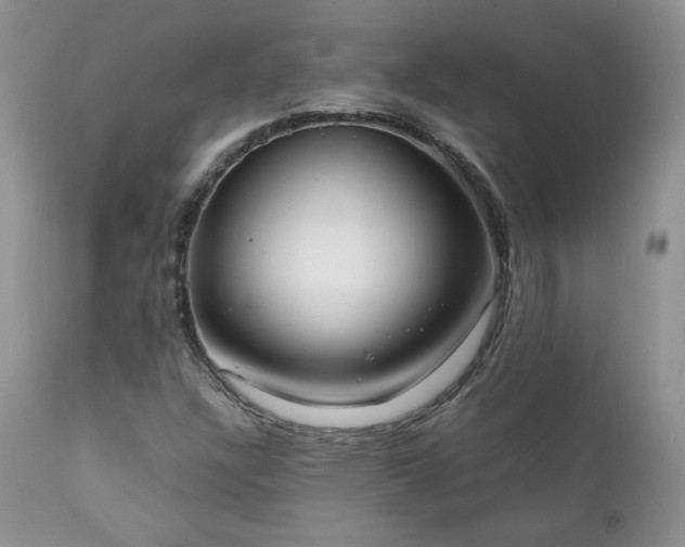 X0000111781304200907301111
