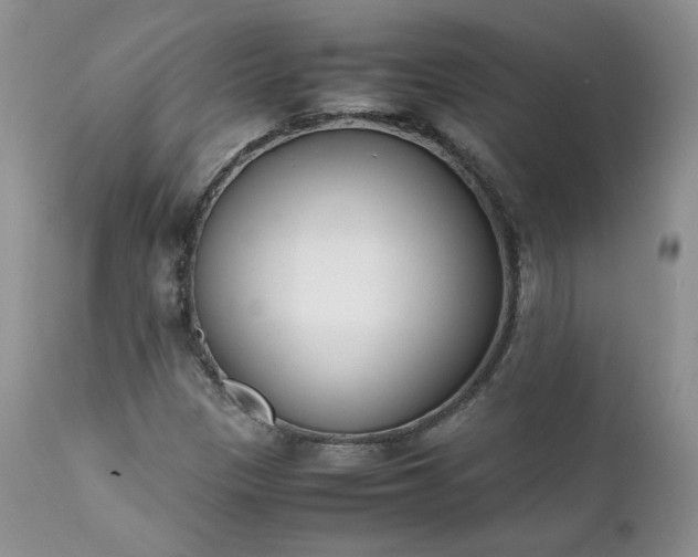 X0000111781305200907301111