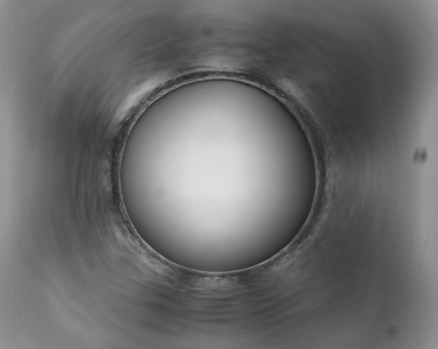 X0000111781307200907301111