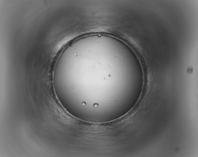 X0000111781308200907301111