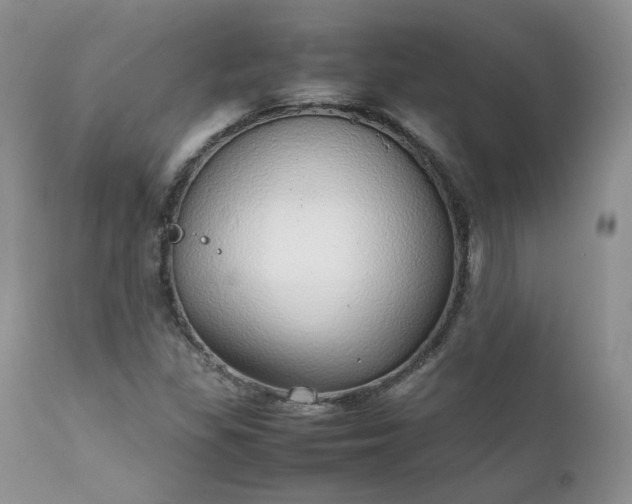 X0000111781309200907301111