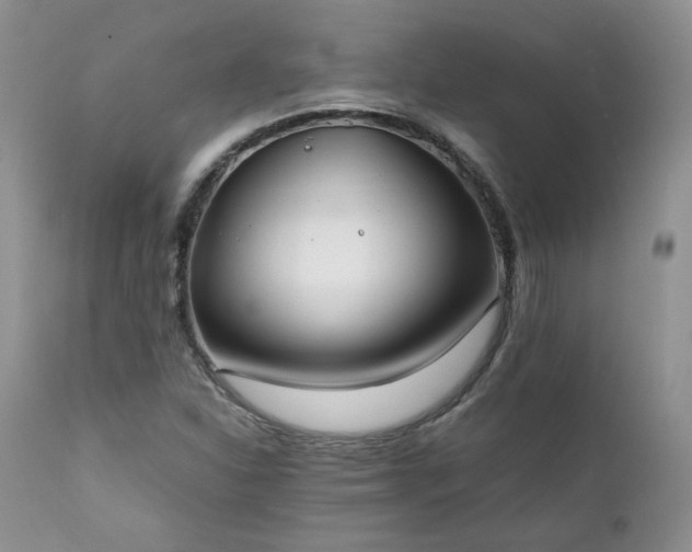 X0000111781310200907301111