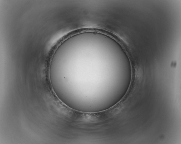 X0000111781311200907301111