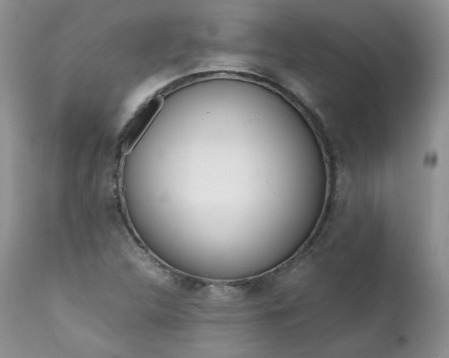 X0000111781312200907301111