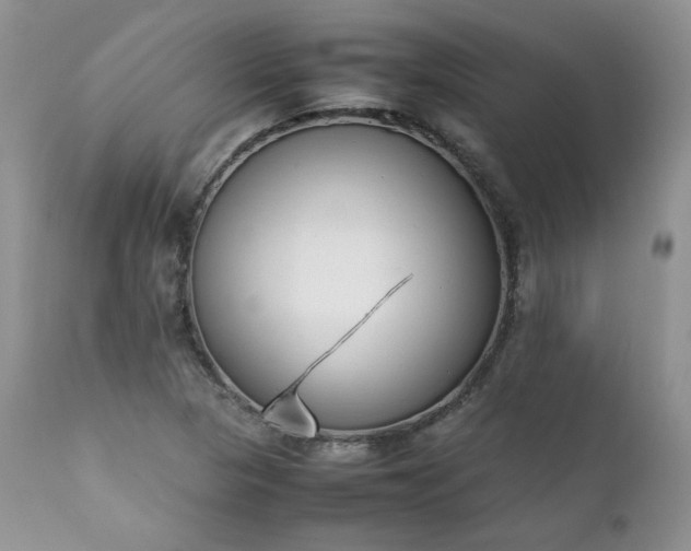X0000111781313200907301111