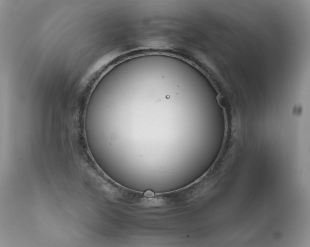 X0000111781315200907301111