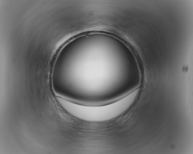 X0000111781316200907301111
