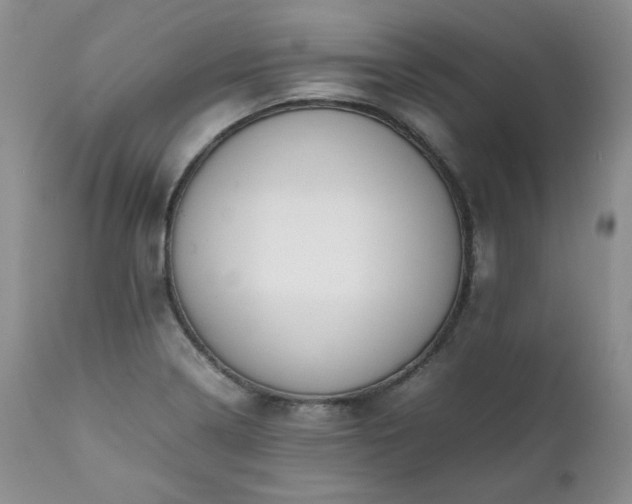 X0000111781322200907301111