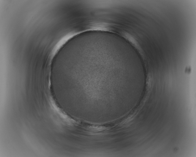 X0000111781323200907301111