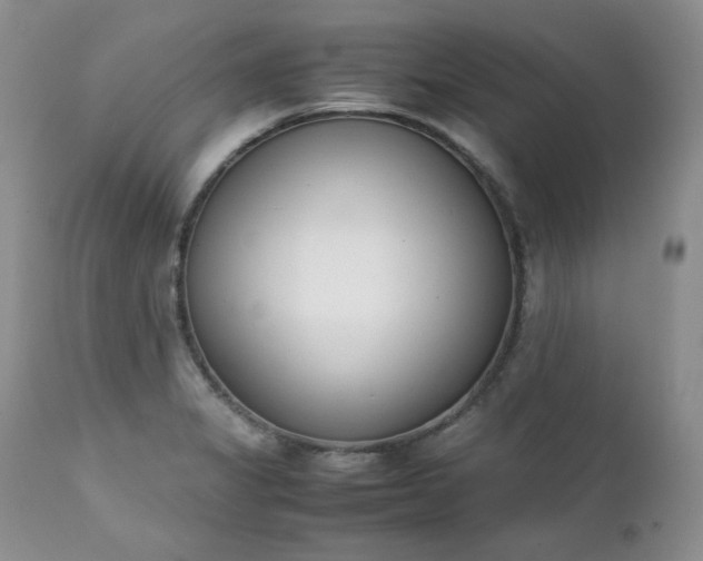 X0000111781325200907301111