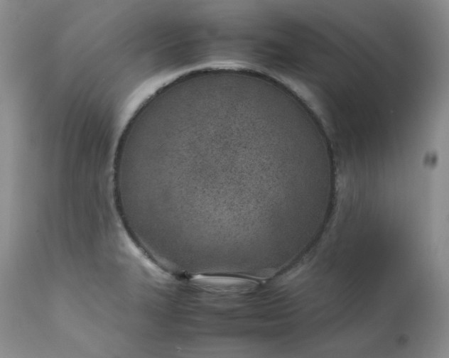 X0000111781327200907301111
