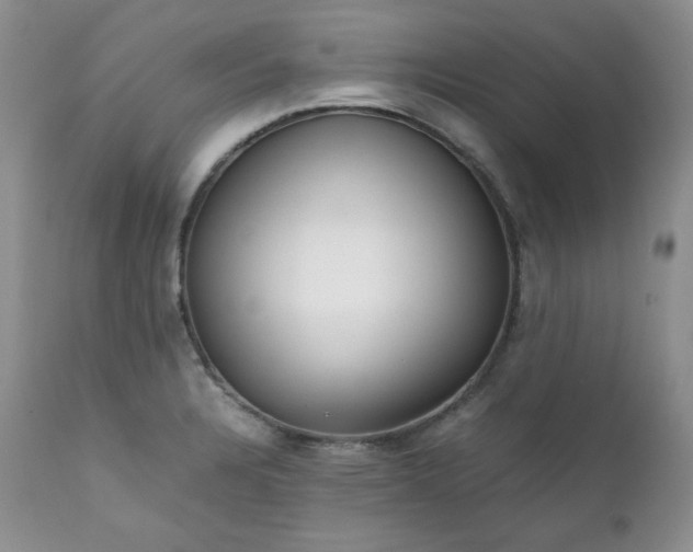 X0000111781328200907301111