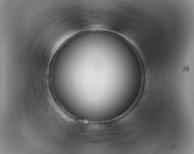 X0000111781333200907301111