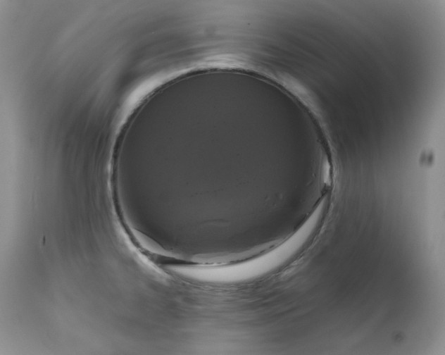X0000111781334200907301111