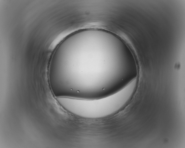 X0000111781336200907301111