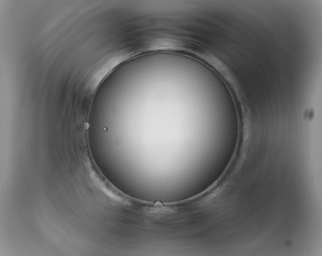 X0000111781337200907301111