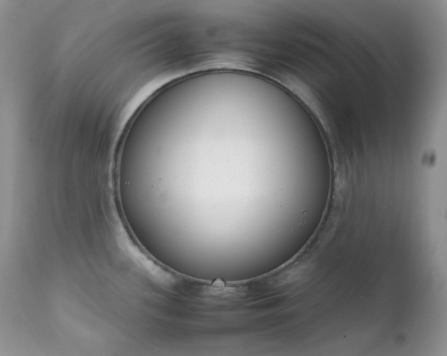 X0000111781339200907301112