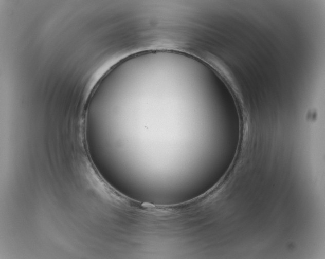 X0000111781340200907301112