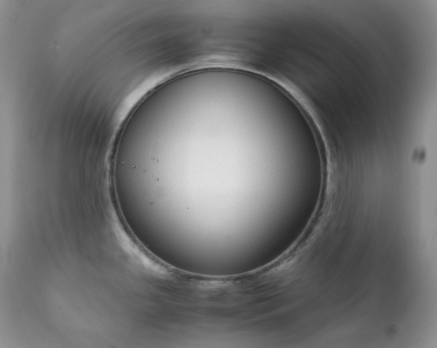 X0000111781341200907301112
