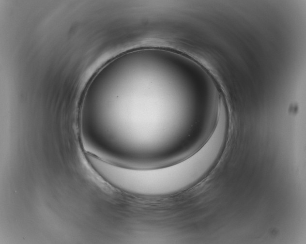 X0000111781342200907301112