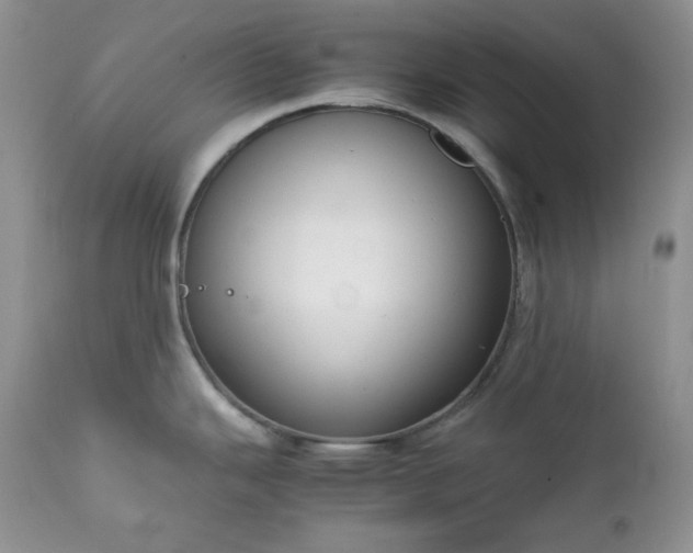 X0000111781343200907301112