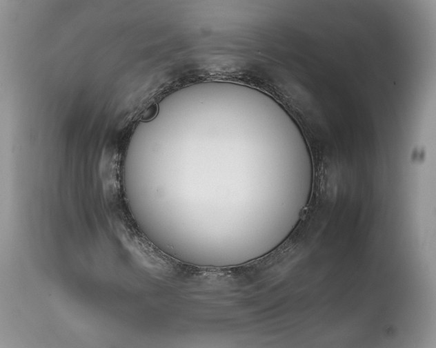 X0000111781346200907301111