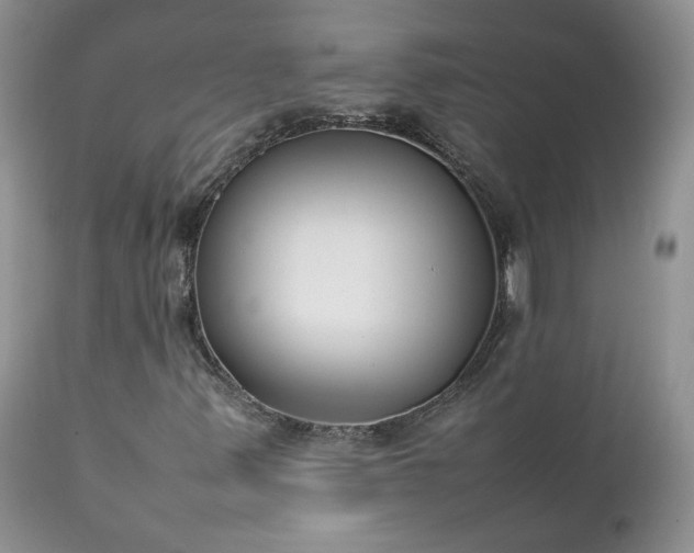 X0000111781347200907301111