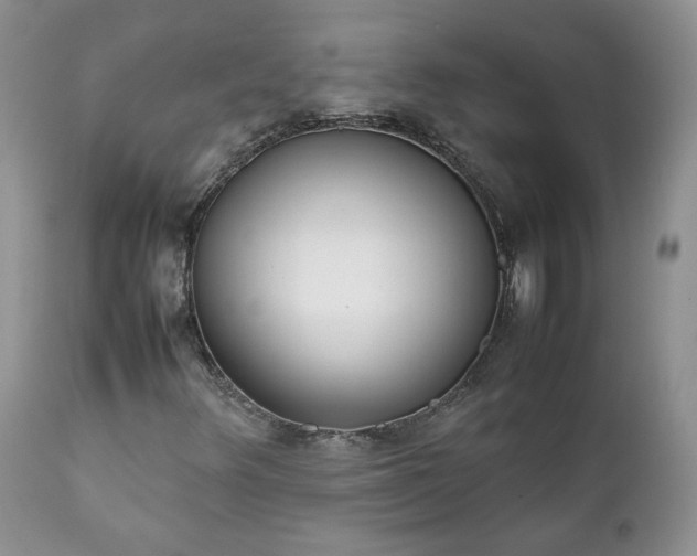 X0000111781348200907301111