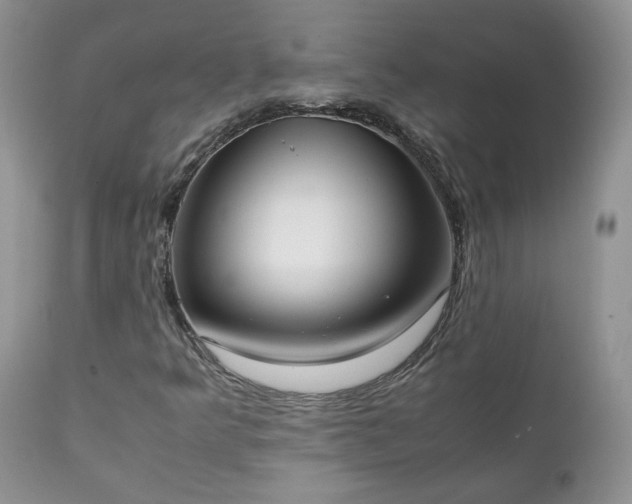 X0000111781349200907301111