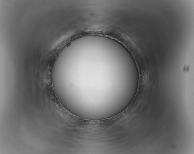 X0000111781350200907301111