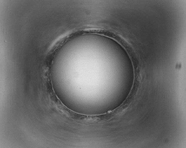X0000111781351200907301111