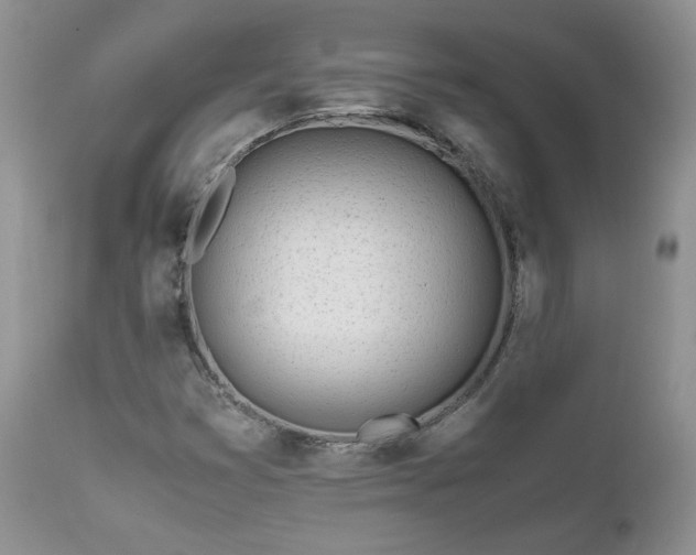X0000111781353200907301111