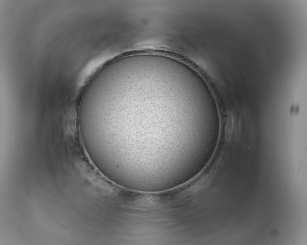 X0000111781358200907301111