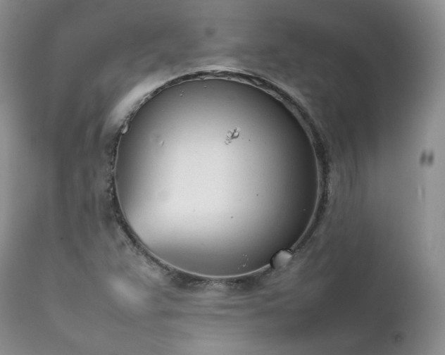 X0000111781359200907301111
