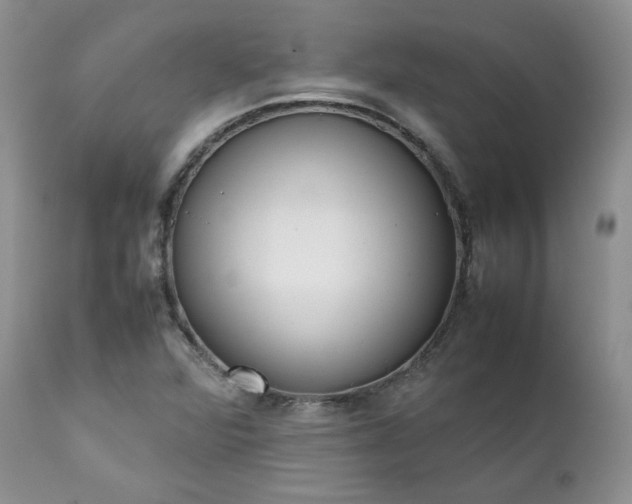 X0000111781360200907301111