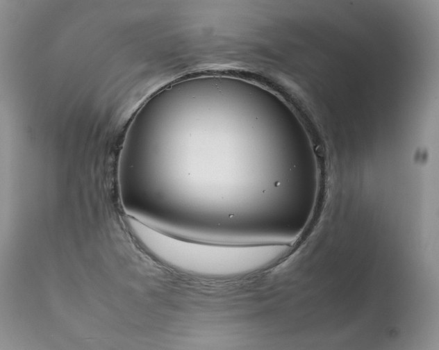 X0000111781361200907301111