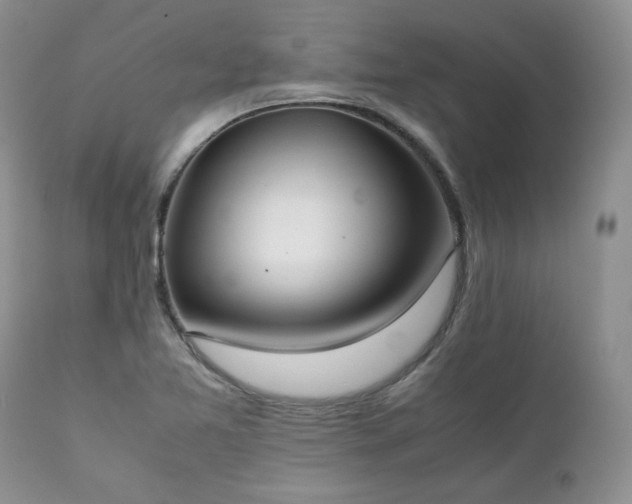 X0000111781365200907301111