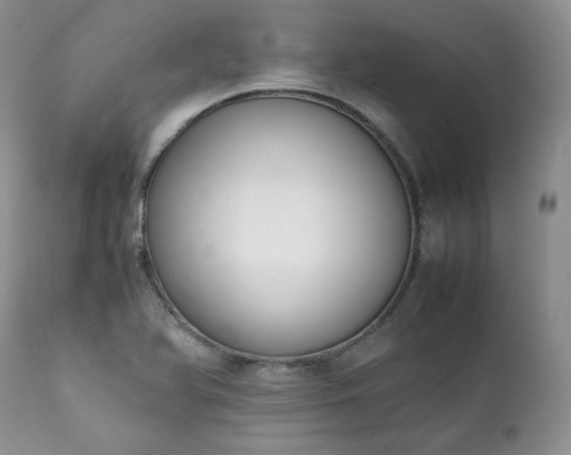 X0000111781366200907301111