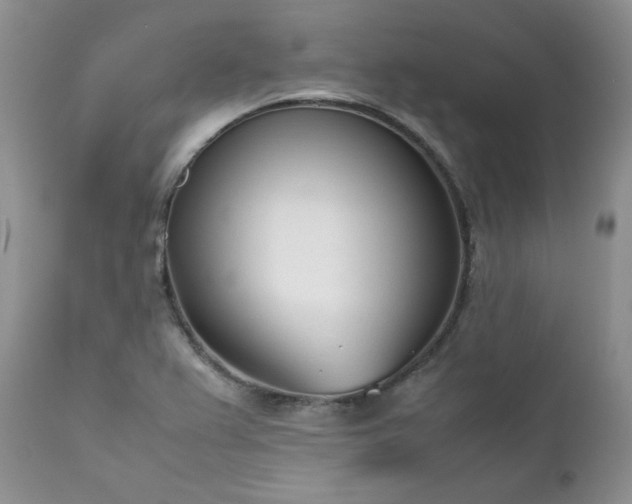 X0000111781367200907301110