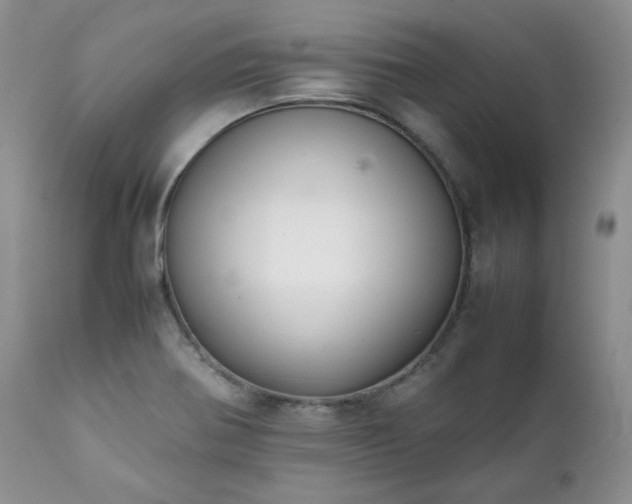 X0000111781370200907301110