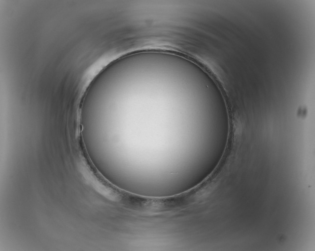 X0000111781371200907301110